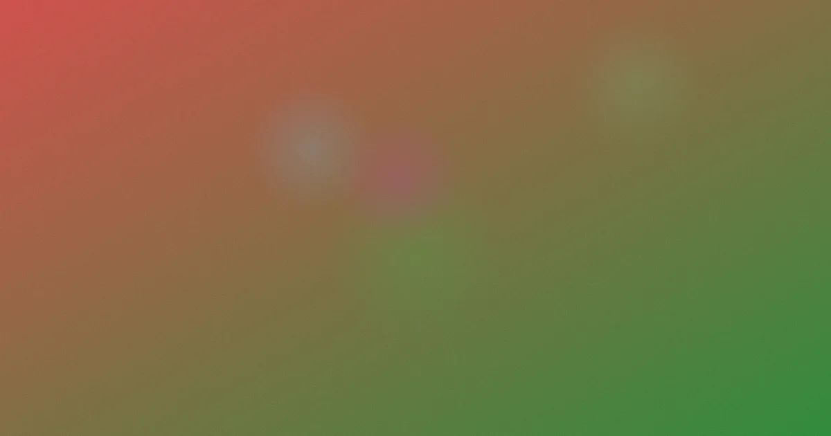 文言文是什么：说透本质